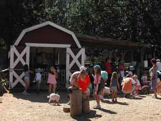 Children's Farm goat area