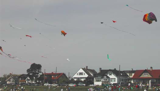 Kite Day at Clover Point - May 2005